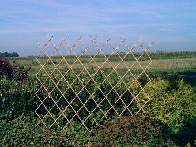 Bamboe Trellis Harmonica